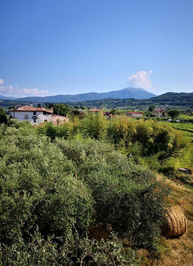 Appartamenti Bellini Бардолино Экстерьер фото