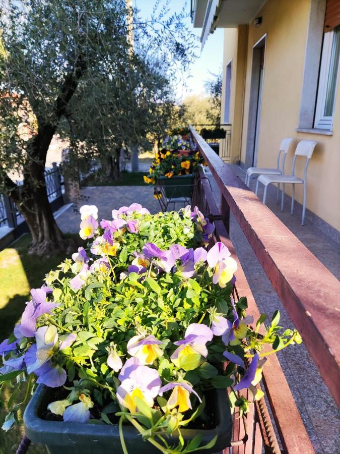 Appartamenti Bellini Бардолино Экстерьер фото